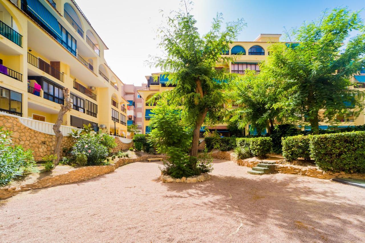 Apartamento Alegria Id36 La Mata  Exteriér fotografie